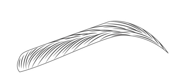 Эскиз бровей