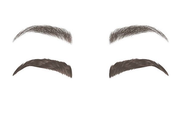 Брови на прозрачном фоне