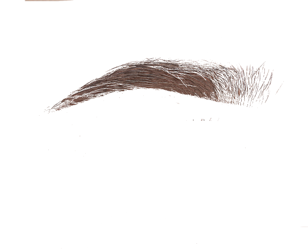 Брови для фотошопа на прозрачном фоне