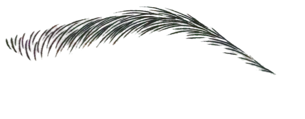 Брови на прозрачном фоне