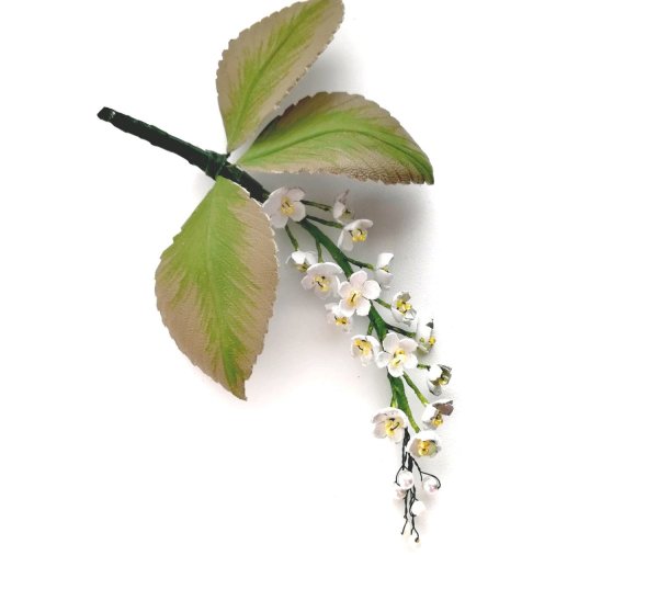 Ветка черемухи на прозрачном фоне