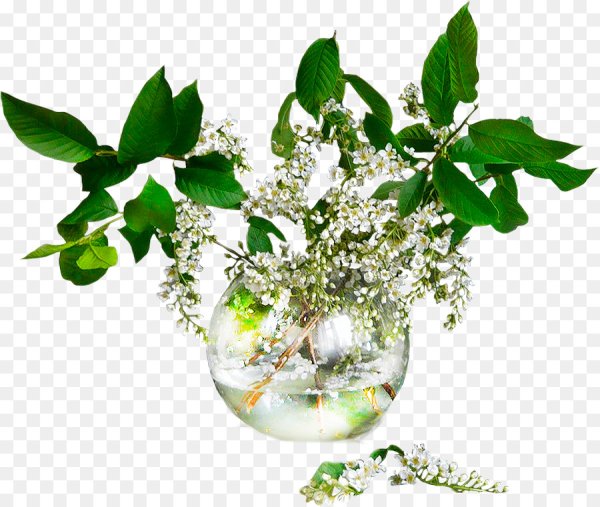 Цветы в прозрачной вазе