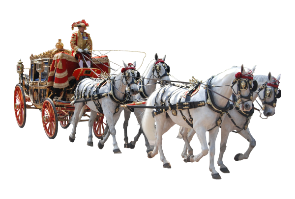 Цуг упряжка Кучер