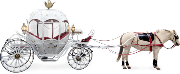 Карета с лошадью