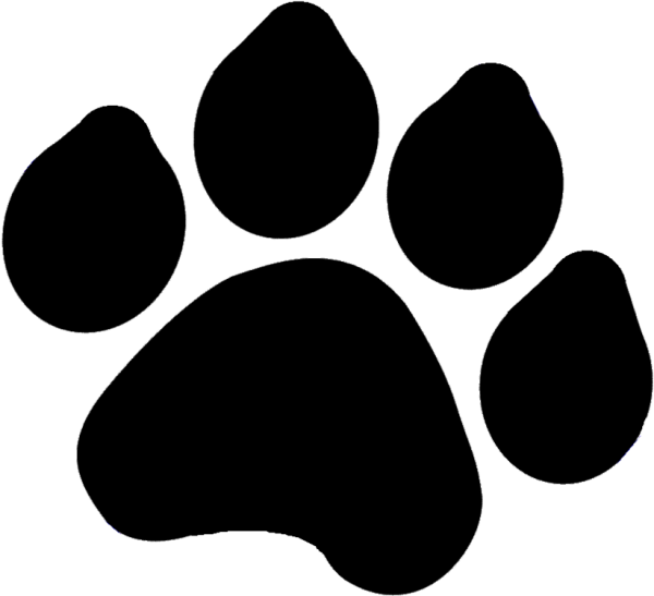 След собаки