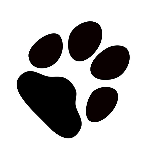 Лапка собаки