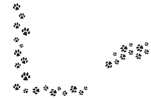 Кошачьи лапки следы