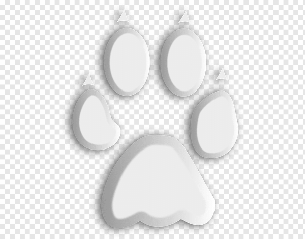 Белый отпечаток лапы собаки