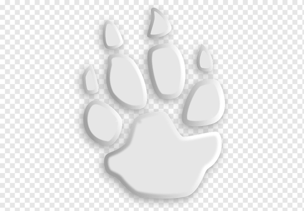 Лапки на белом фоне