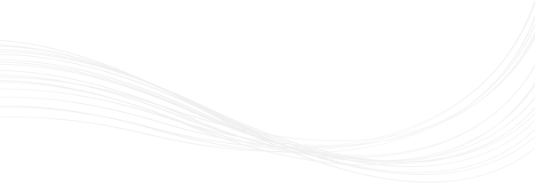 Белая линия