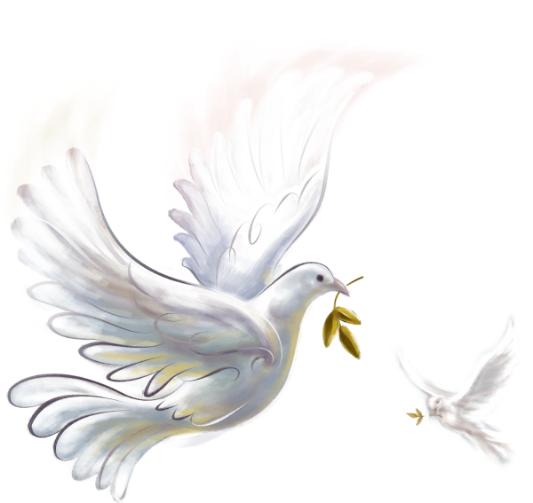 Белый голубь