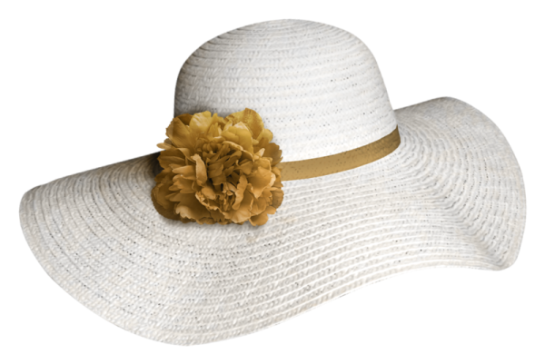 Шляпка на белом фоне