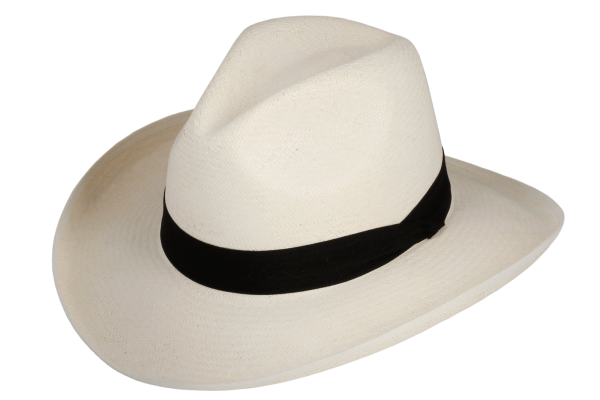 Шляпа Федора