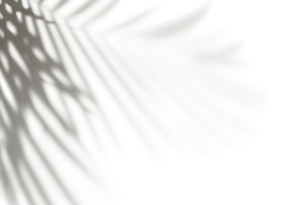 Тень от ветки