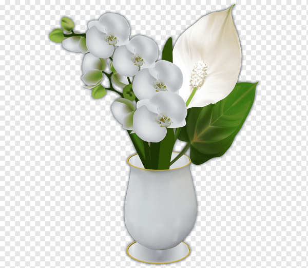 Ваза с цветами на белом фоне