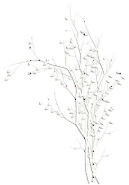Зимняя ветка на белом фоне