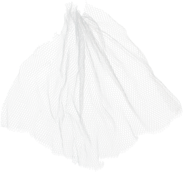 Свадебная фата на прозрачном фоне