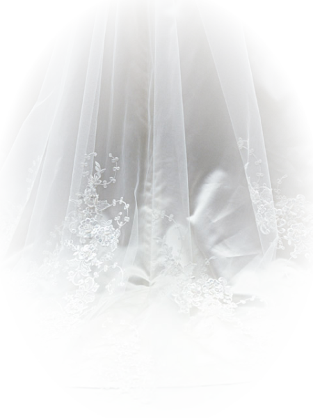Прозрачная вуаль