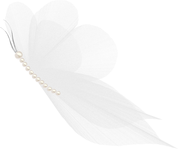 Белые цветы на прозрачном фоне