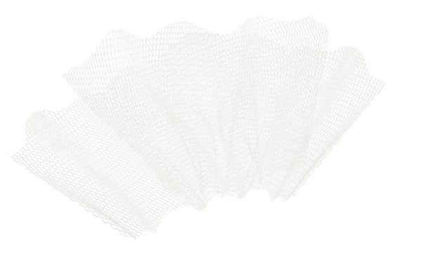 Прозрачная вуаль на прозрачном фоне