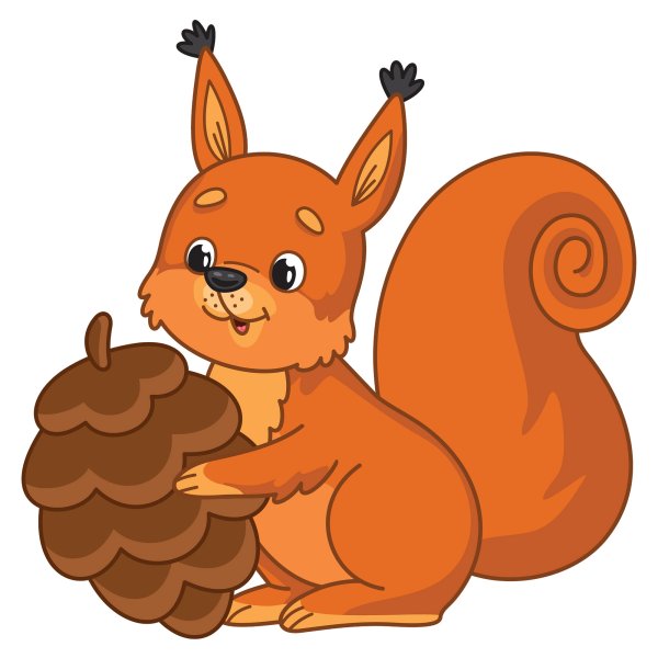 Белка для детей