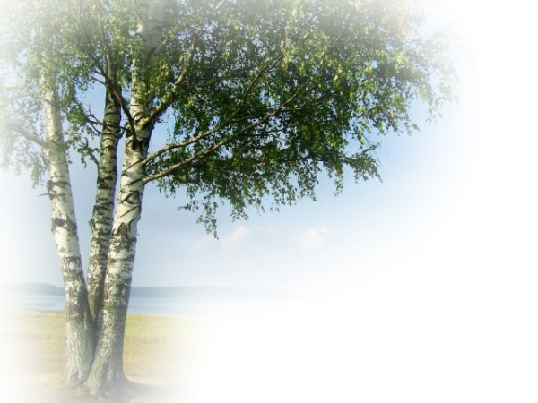 Клипарты на прозрачном фоне природа