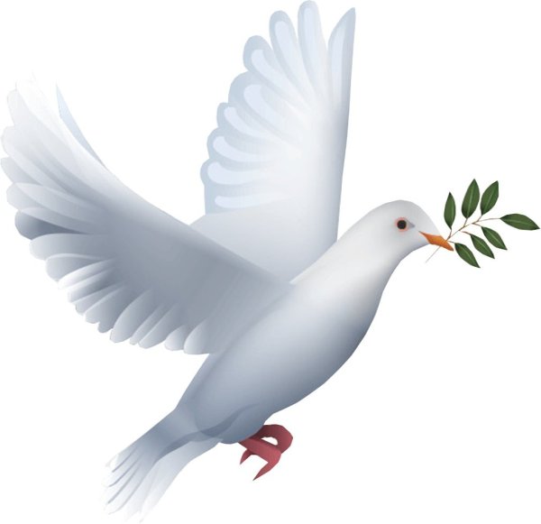 Голубь с веткой в клюве