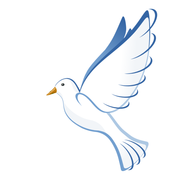 Голубь мира на прозрачном фоне