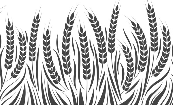 Wheat Barley вектор