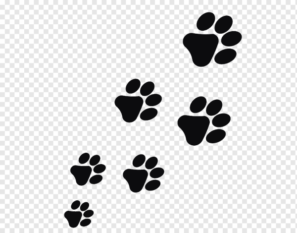 Отпечаток лапки кота