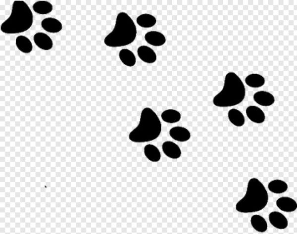 След кошачьей лапки без фона