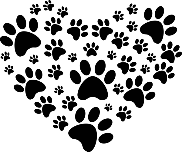 Лапка кошки и собаки