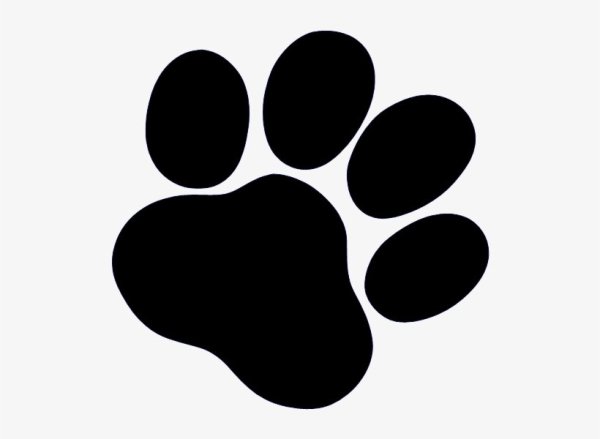 Отпечаток лапки собаки