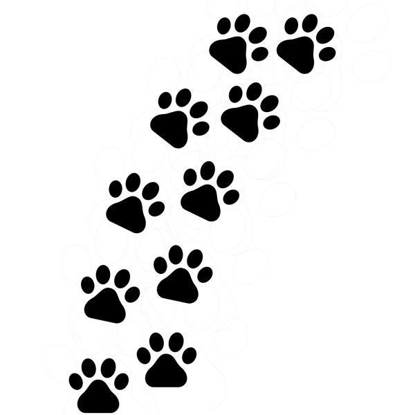 Кошачьи лапки следы