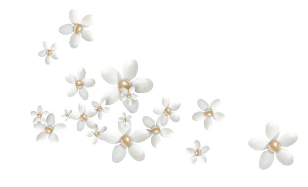 Цветочки на белом фоне