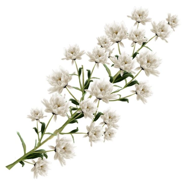 Гипсофила ветка