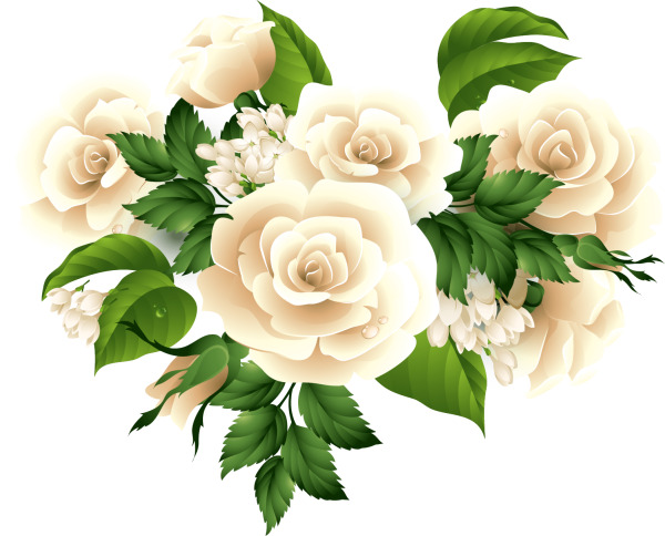 Бежевые розы на прозрачном фоне