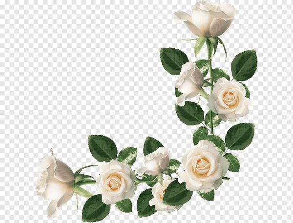 Цветочные уголки белые розы