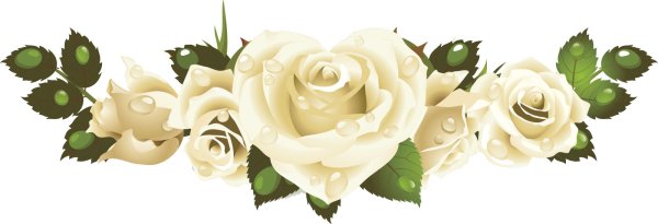 Свадебные розы на прозрачном фоне