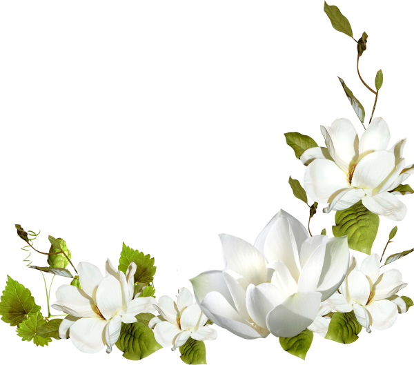 Белые цветы в Верхнем углу PNG