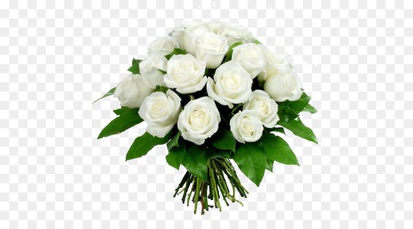 Букет белых роз на прозрачном фоне