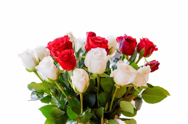 Красивый букет на белом фоне