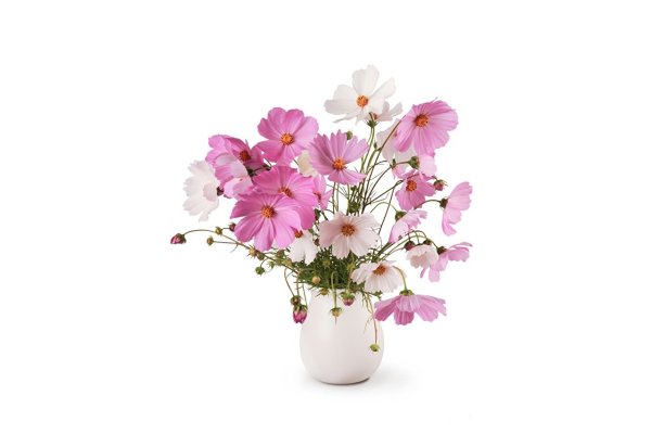 Цветы в вазе