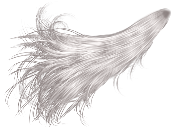 Светлые волосы на белом фоне