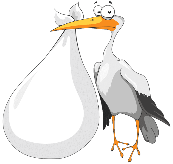 Аист рисунок