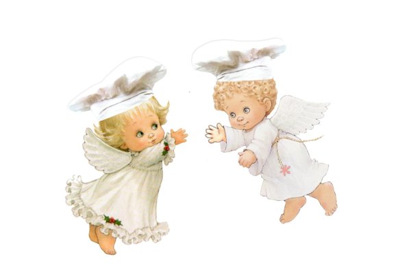 Англочакт на белом фоне