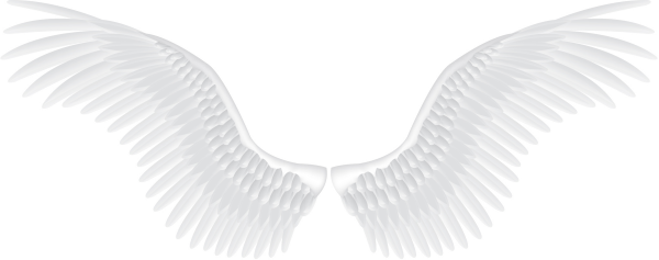 Крылья на прозрачном фоне