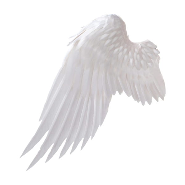 Белые Крылья сбоку