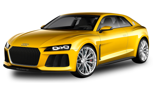 Audi quattro Sport 2019