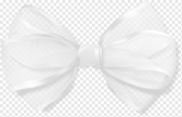 Белый бант на прозрачном фоне